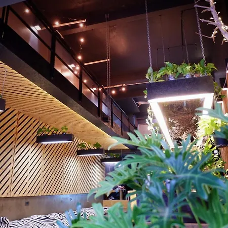 Hugger Hostel (Adults Only)-2